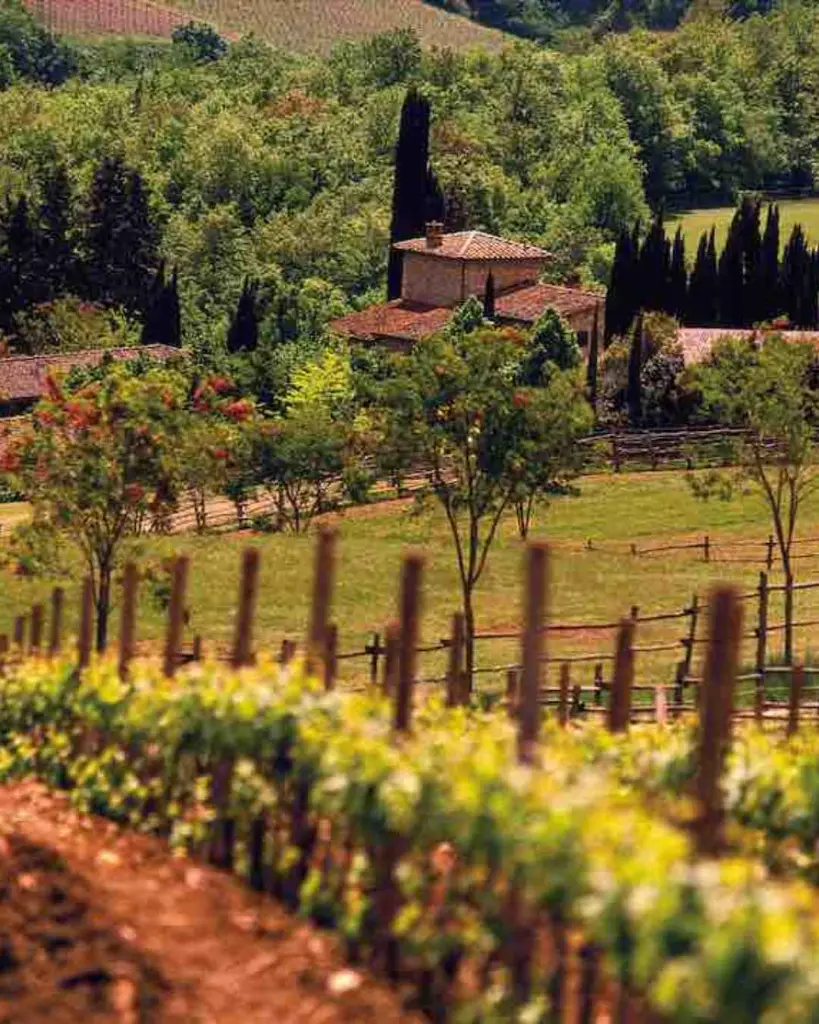 tenuta-degli-dei-wine-tour-chianti-tuscany-italy.webp