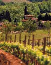tenuta-degli-dei-wine-tour-chianti-tuscany-italy.webp