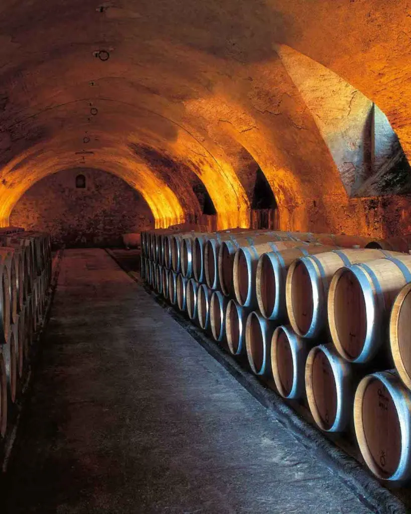 tenuta-degli-dei-wine-cellar-chianti-tuscany-italy.webp
