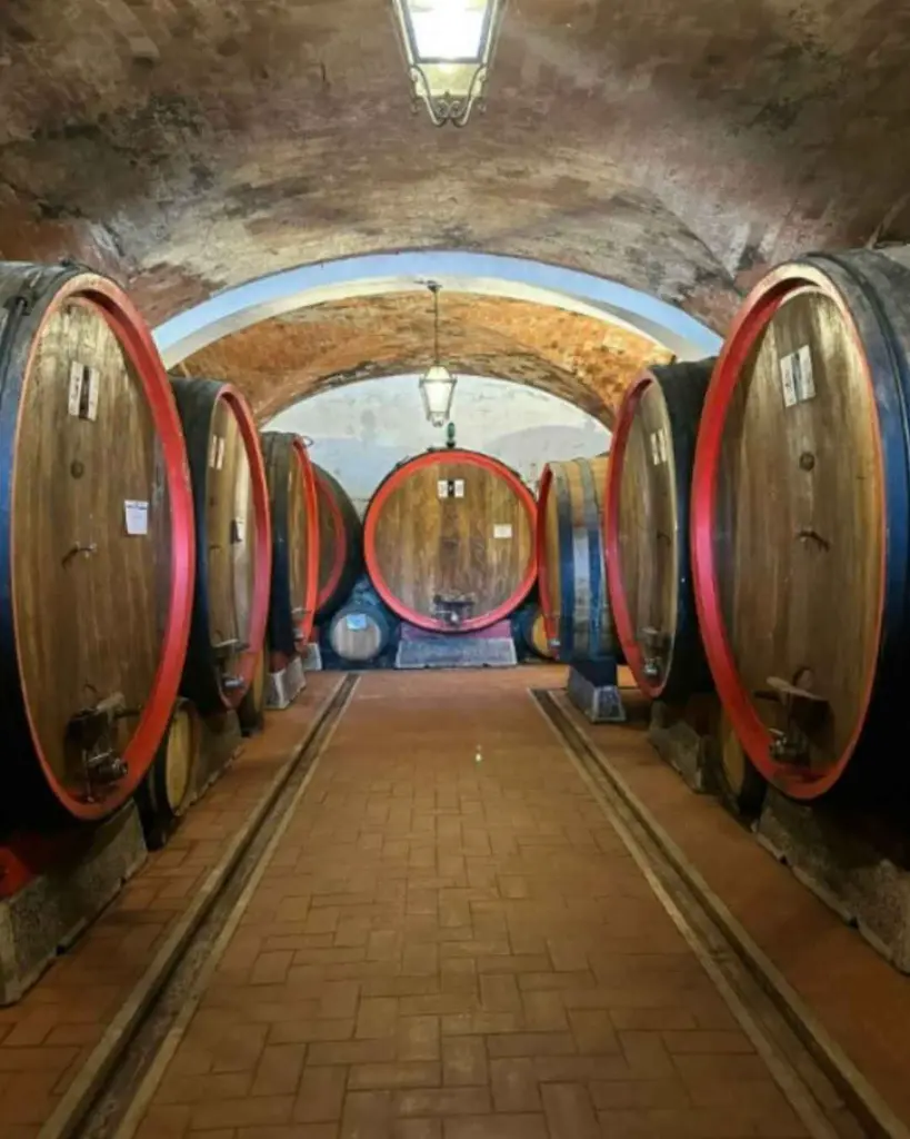 fattoria-svetoni-wine-cellar-tour-tuscany-italy.webp