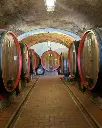 fattoria-svetoni-wine-cellar-tour-tuscany-italy.webp