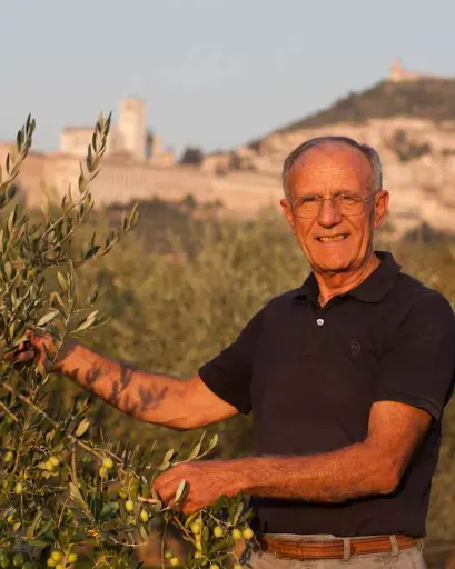 Italy, Umbria, SAIO Assisi - Lunch with guided tasting 5 wines