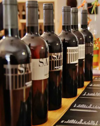 Italy, Umbria, SAIO Assisi - Lunch with guided tasting 5 wines