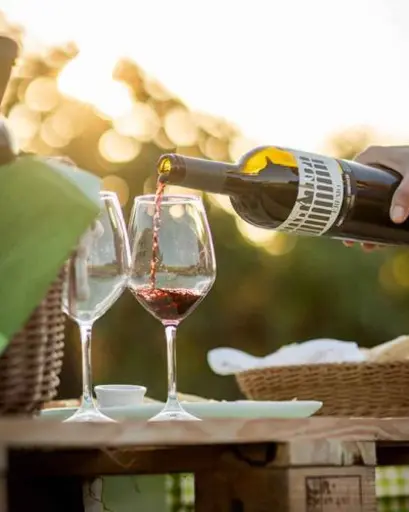 Italy, Umbria, SAIO Assisi - Pic nic lunch in the vineyard of Assisi and guided tasting 5 wines