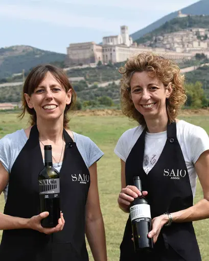 Italy, Umbria, SAIO Assisi - Pic nic lunch in the vineyard of Assisi and guided tasting 5 wines