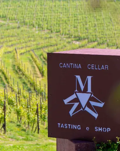 Italy, Piedmont, Azienda Agricola Diego Morra - NEBBIOLO NUANCES 
