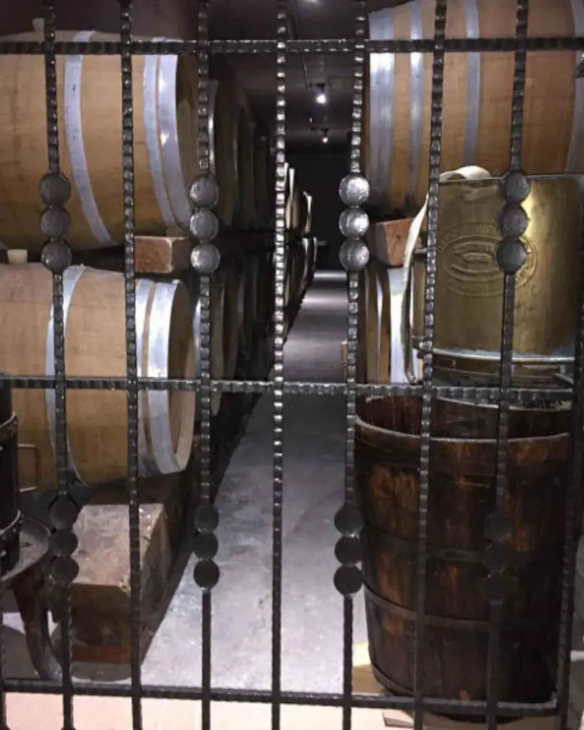 veneto-amarone-experience-vogadori-family-wine-cellar.webp