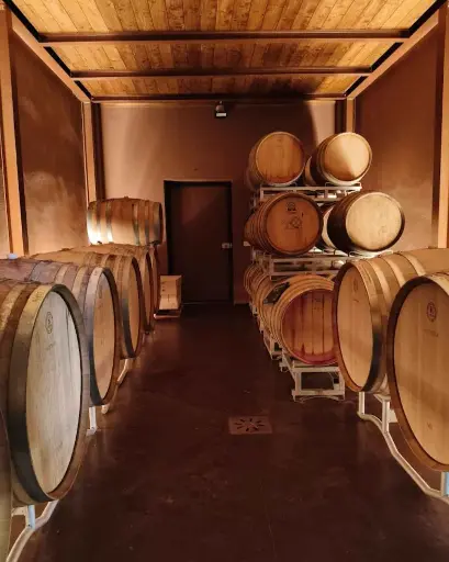 Italy, Tuscany, Terre de' Pepi - Volterra wines: sensorial emotions of an "LIVE farming"