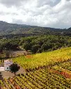 sardinia-cantina-giuseppe-sedilesu.webp