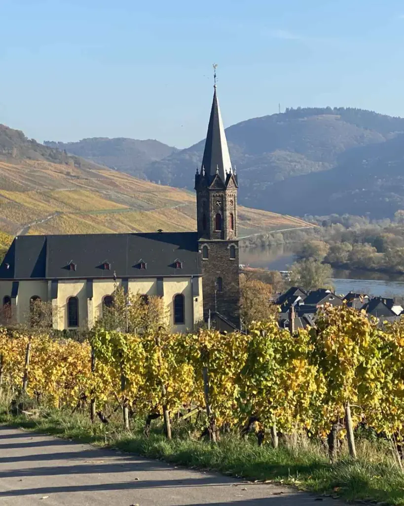 mosel-gindorf.jpg