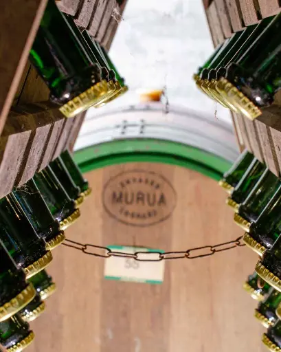Germany, Mosel, Weingut Gindorf - Mosel Riesling & Cellar Tasting