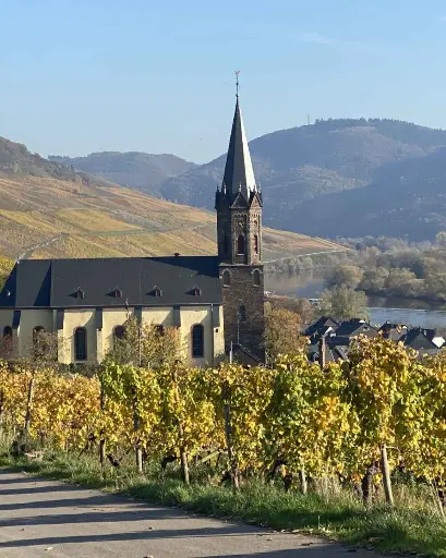 Germany, Mosel, Weingut Gindorf - Wine Tasting Game: The Magic Glass