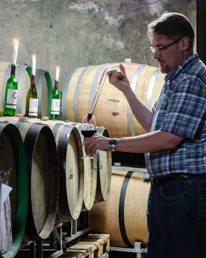 Germany, Mosel, Weingut Gindorf - Mosel Vineyard Stroll & Wine Tasting Adventure