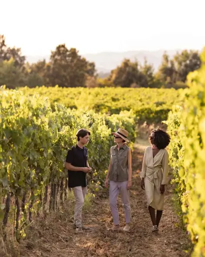 Italy, Tuscany, Castelfalfi - Castelfalfi Wine Tour & Tasting