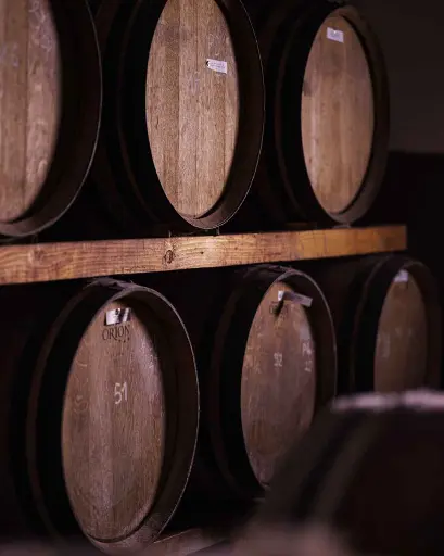 Italy, Tuscany, Tenuta Bossi - Journey through the Hills of Chianti Rufina