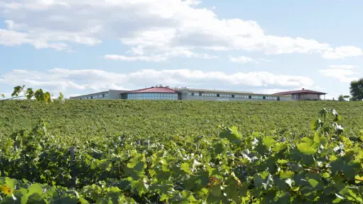 Bulgaria, Thracian Valley, From Plovdiv - Create Your Own Blend: Wine Workshop in the Countryside