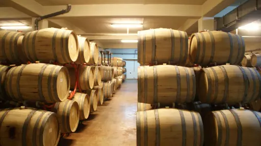 Bulgaria, Thracian Valley, From Plovdiv - Create Your Own Blend: Wine Workshop in the Countryside