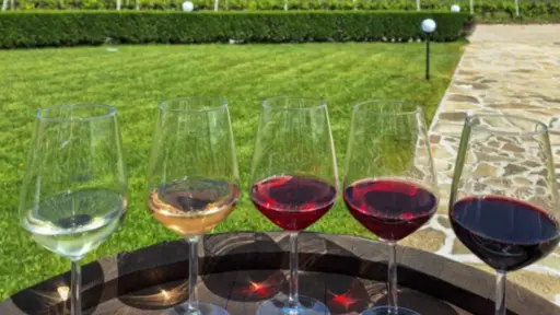 Bulgaria, Thracian Valley, From Plovdiv - Create Your Own Blend: Wine Workshop in the Countryside