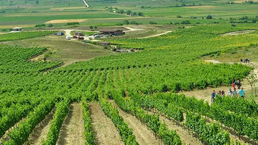 Bulgaria, Thracian Valley, From Plovdiv - Wine Escape to the Rhodope Foothills