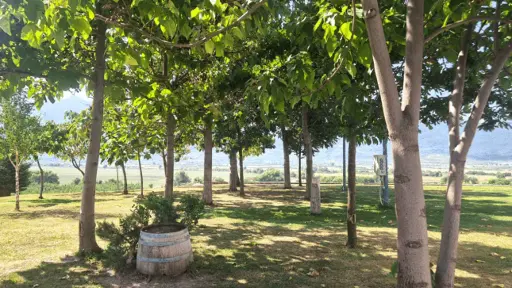 Bulgaria, Thracian Valley, From Plovdiv - Wine Escape to the Rhodope Foothills