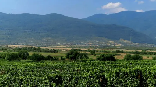 Bulgaria, Thracian Valley, From Plovdiv - Wine Escape to the Rhodope Foothills
