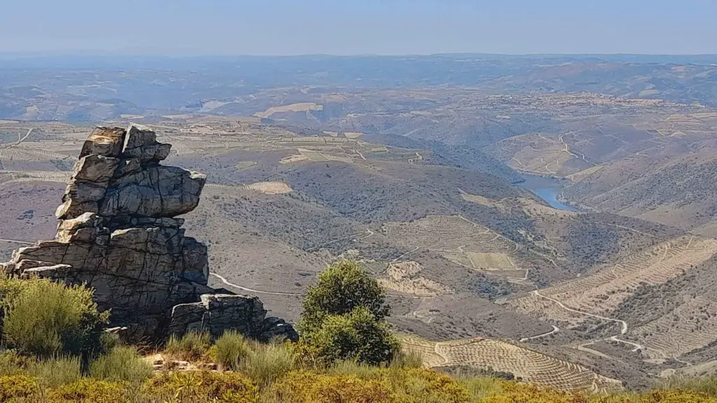 douro-wine-experience-torre-de-moncorvo-portugal .webp