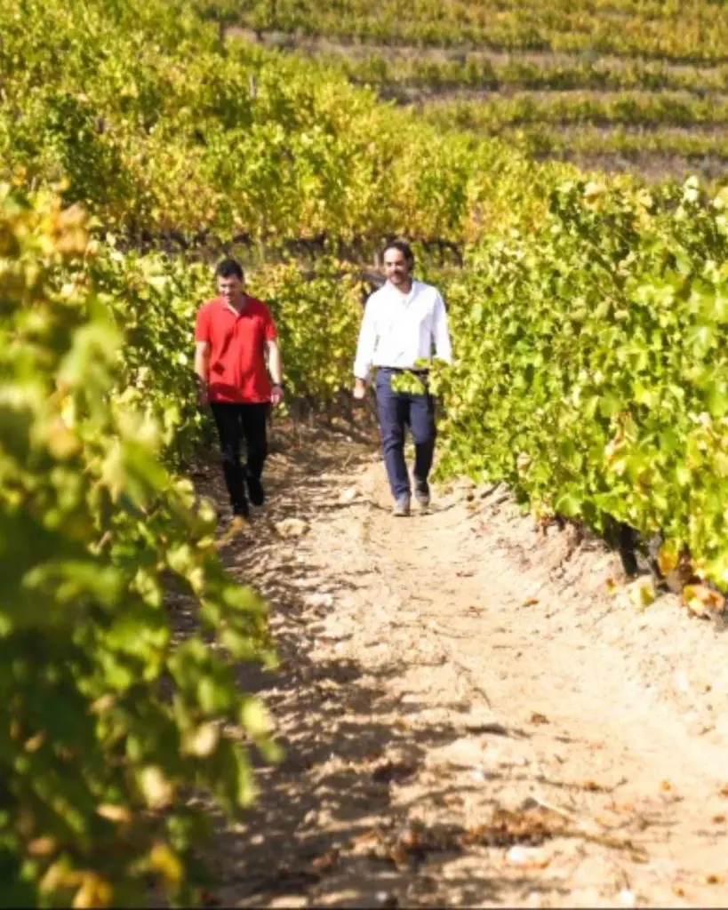 quinta-vale-daldeia-vineyard-walk-douro-portugal.webp
