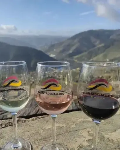 Portugal, Douro, Quinta do Jalloto - Douro Wine Flight