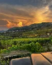 quinta-do-monte-travesso-port-wine-estate-portugal.webp