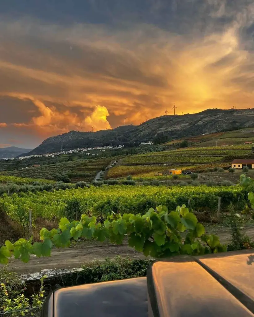 quinta-do-monte-travesso-port-wine-estate-portugal.webp