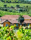 quinta-do-monte-travesso-winery-experience-douro-portugal.webp