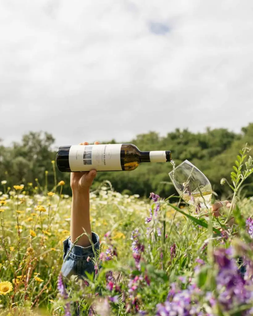 herdade-do-peru-wine-tasting-setubal-portugal.webp