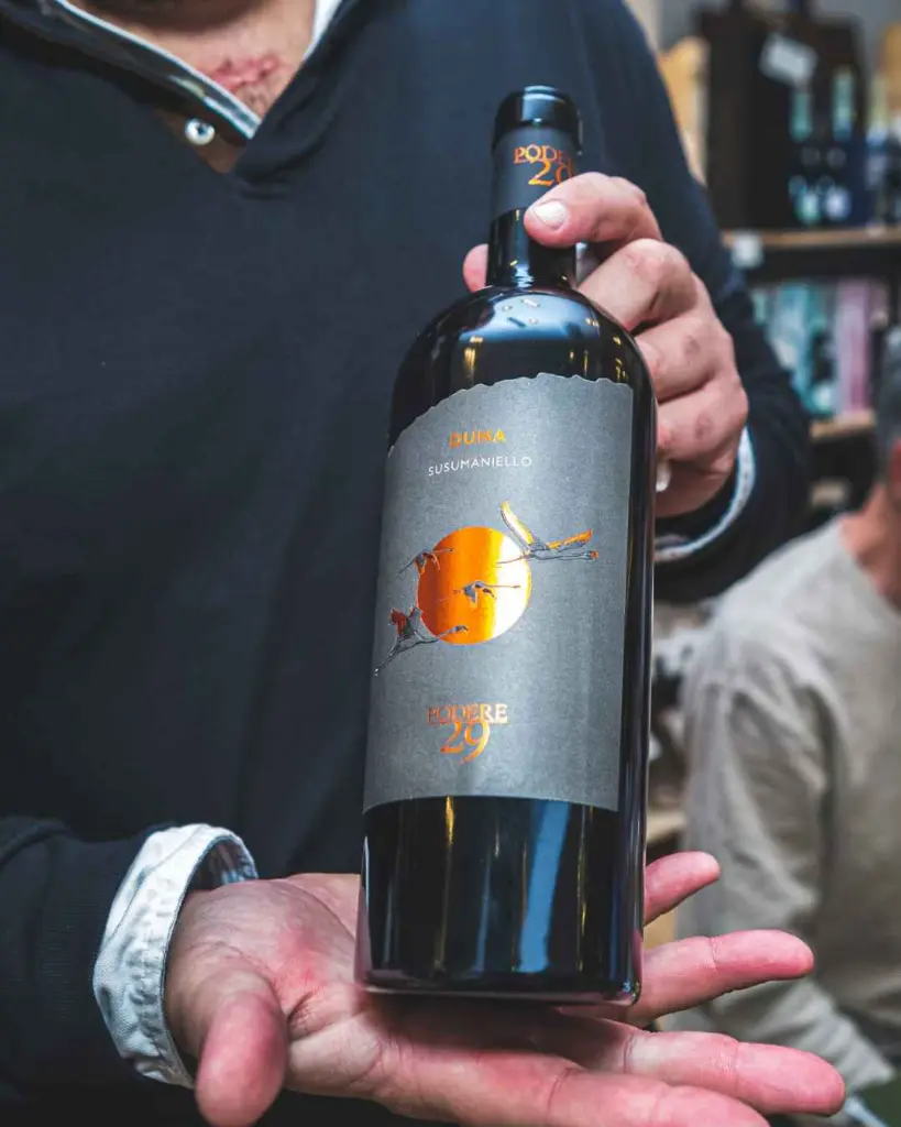 podere-29-winery-experience-apulia-italy.webp
