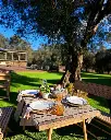 terra-rosa-authentic-vinho-verde-winery-experience-portugal.webp