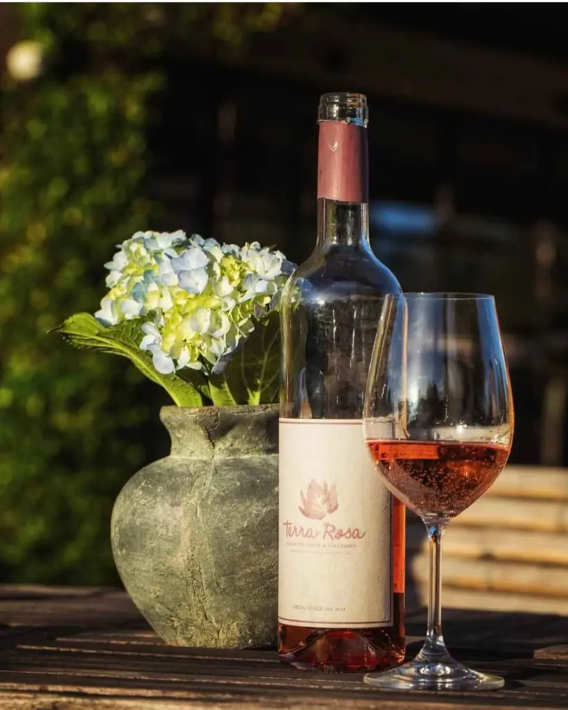 terra-rosa-country-house-wine-tasting-vinho-verde-portugal.webp