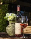 terra-rosa-country-house-wine-tasting-vinho-verde-portugal.webp