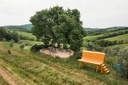 Fattoria La Maliosa - Lunch Picnic