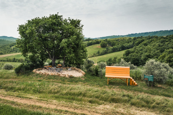 Fattoria La Maliosa - Lunch Picnic