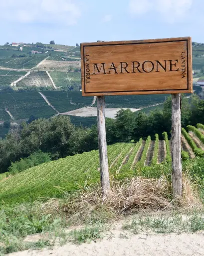 Italy, Piedmont, Agricola Gian Piero Marrone - Barolo Vertical Tasting