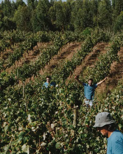 Portugal, Tejo, Adega da Gaveta - Winemaker for a Day!