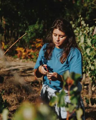 Portugal, Tejo, Adega da Gaveta - Winemaker for a Day!