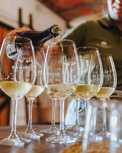 Portugal, Tejo, Adega da Gaveta - Tomar with Wine – Tuk Tuk & Tasting