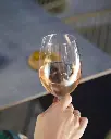 white-wine-tasting-belgrade-serbia.webp
