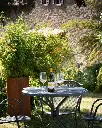buccia-nera-tuscany-wine-tasting.webp