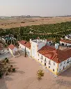 portugal-alentejo-torre-de-palma-visit-tasting .webp