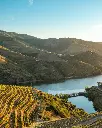 quinta-do-val-moreira-vineyards-douro-portugal.webp