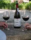 quinta-do-val-moreira-wine-tasting-douro-portugal.webp