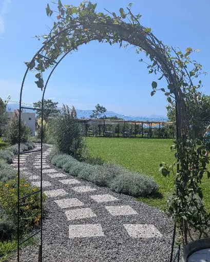 Italy, Campania, Quirinoli - Lunch & Wine Tasting on Mt. Vesuvius