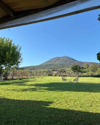 Italy, Campania, Quirinoli - Lunch & Wine Tasting on Mt. Vesuvius