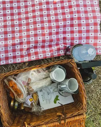 Italy, Lazio, Casale Mattia - Picnic in the Vineyards 